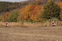 IMG_7330-1