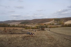 IMG_7537-2