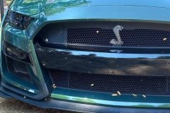 Cobra