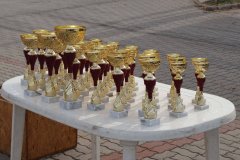 IMG_6981