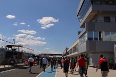 IMG_0489