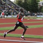 A minta: Moses Mosop kenyai futó