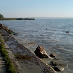 Hattyúk a vízen, csodás Balatoni táj, élmény itt sportolni